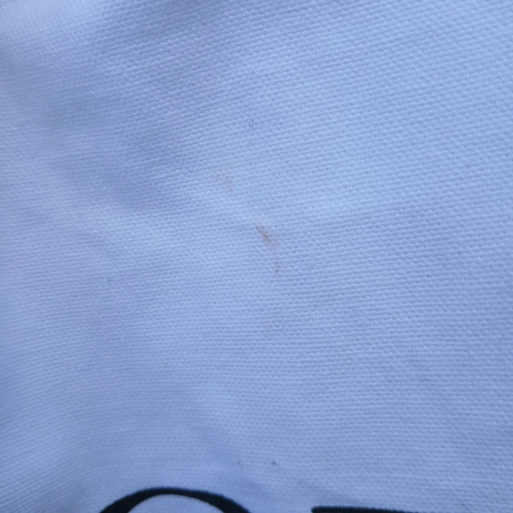 Extra Long Dior Garment Bag